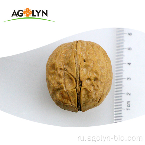 Бумажная скорлупа Agolyn свежие цельные органические грецкие орехи цены